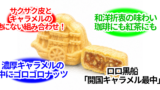 開国キャラメル最中 静岡のお菓子 無題32 20260520081556 160x90