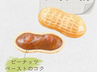 ぴーなっつ最中 20260529 180333 0000 320x240