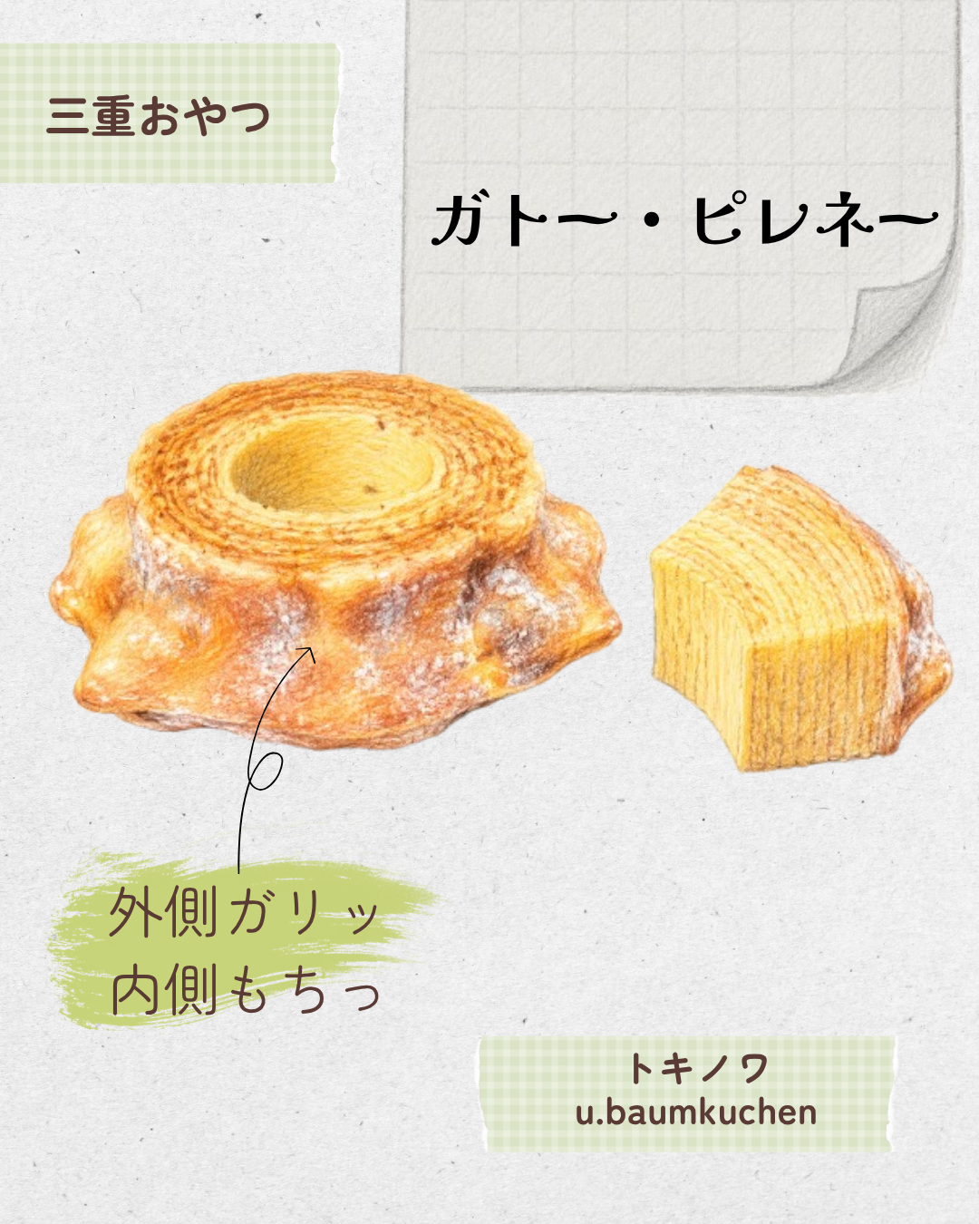ガトー・ピレネー 20260527 212045 0000