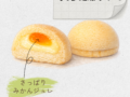 甘金丹 氷見 灘浦みかん 20260604 110337 0000 120x90