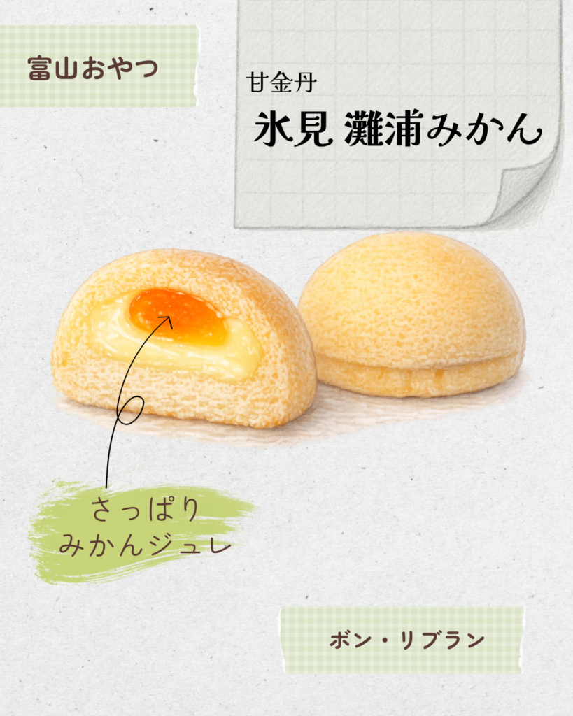 甘金丹　氷見　灘浦みかん