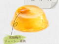 金の梅の美 20260606 104234 0000 120x90